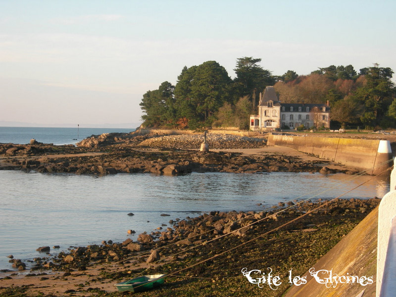 L'ile Tristan