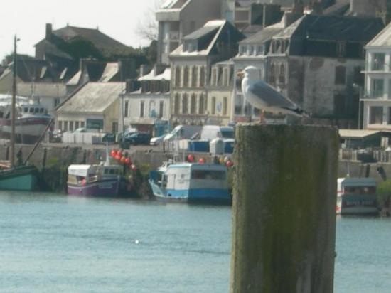vue du port d'audierne