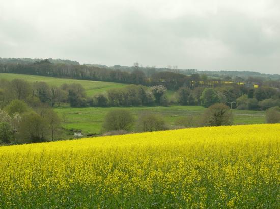 la campagne environnante
