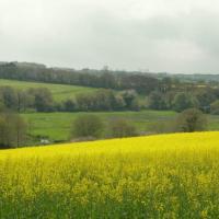 la campagne environnante