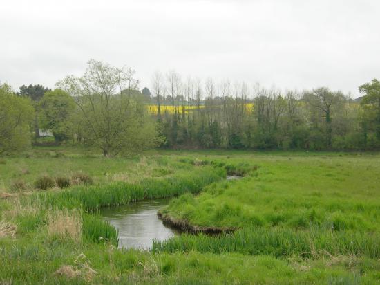 le goyen