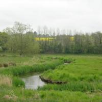 le goyen
