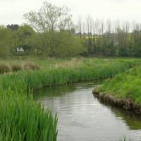 le goyen
