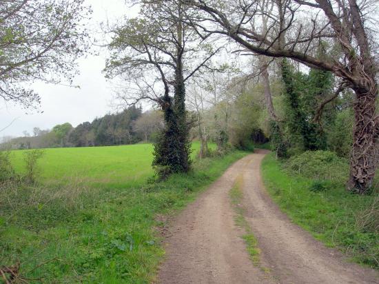 petit chemin pour la promenade
