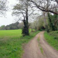 petit chemin pour la promenade
