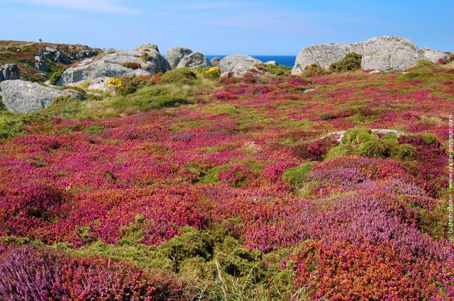 landes cap_sizun