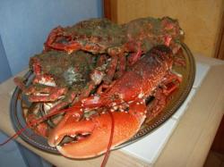 Fruits de mer
